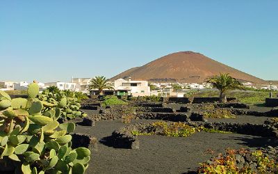 Lanzarote Airport Transfers